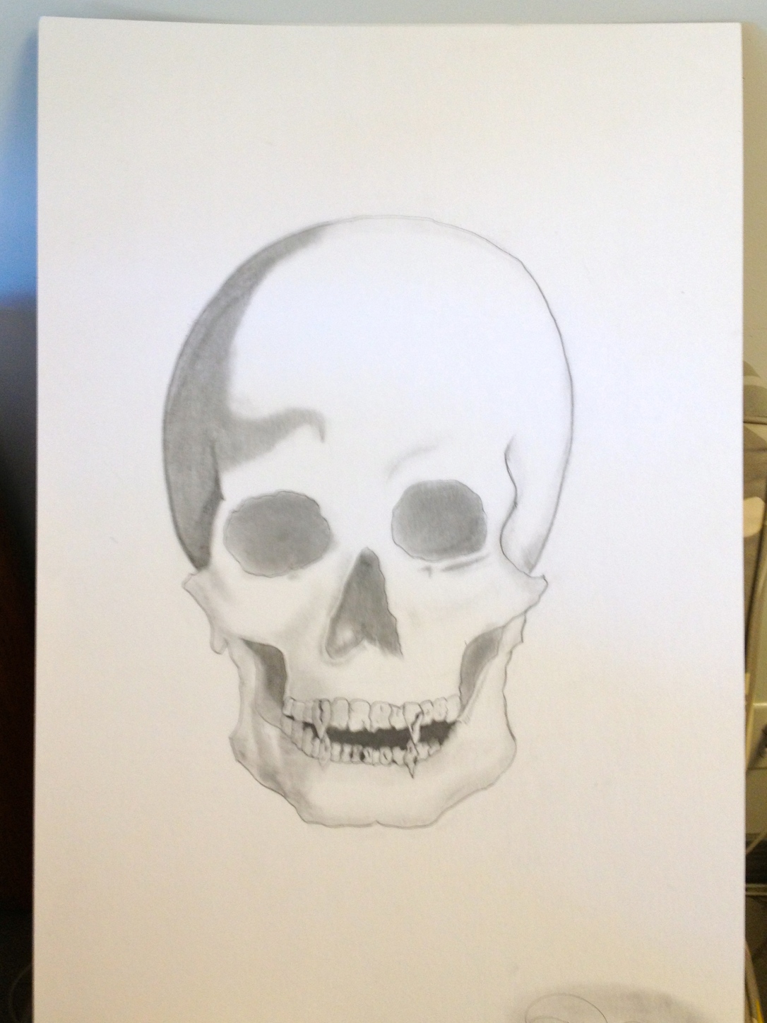 Sketched Skull Face